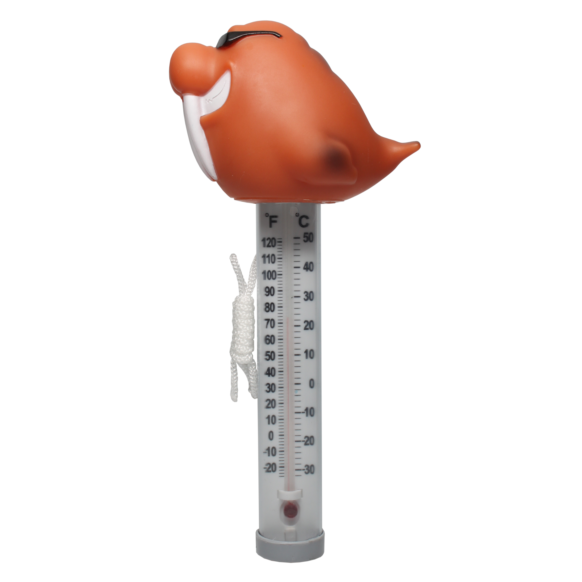 Walrus Thermometer